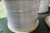 Galvanized Steel Wire Rope 1X19-PA6/12-Coated